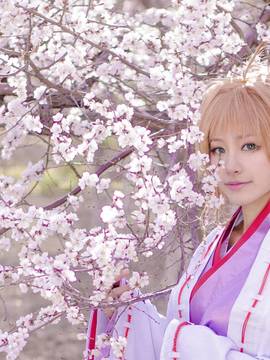 "Wing · Dating" Sakura mengilustrasikan versi kimono dari versi