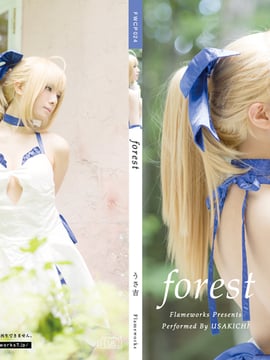 [Flameworks] Hutan (Tiga -RI Fate - Sabre)