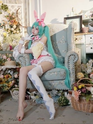 Oranye Meow Saus - Hatsune [5p]