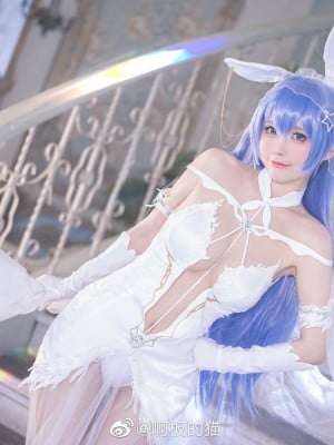 [Ah Board's Cat] Azur Blue Route New Jersey Snow White