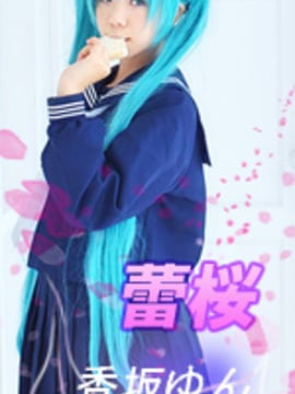 [Ketaro] Miku Rom