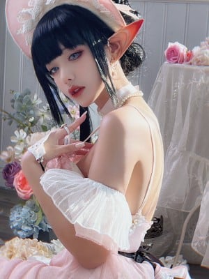 Liuyi - Ark of Tomorrow, Anaconda ballet cos