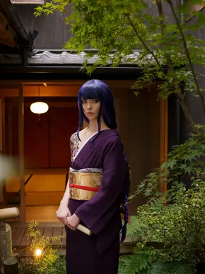 Vinnegal - Raiden Shogun